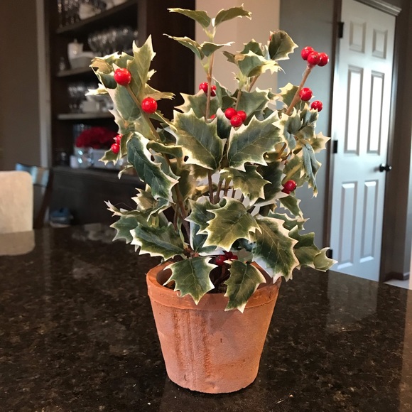 New Pottery Barn Faux Potted Holly, Holiday Plant - Picture 7 of 13